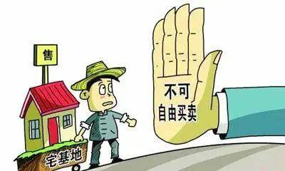 宅基地买卖合同有效吗（关于土地纠纷案例分析）