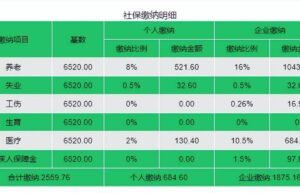 上海社保基数标准是多少（2022年个人缴纳社保比例）