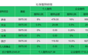 2022年养老保险缴费比例是多少（关于养老保险档次价格）