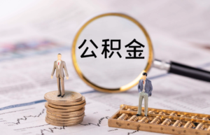 公积金账号在哪里查询（查询社保公积金的方法）