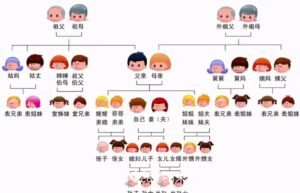 近亲是指哪些关系的亲属（最新近亲结婚亲属范围）