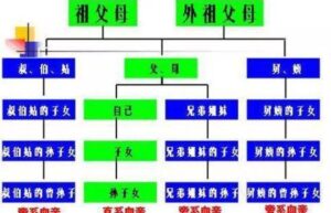 爷爷奶奶算直系亲属吗可以休丧假吗（直系亲属关系一览表）