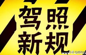 2022年新交通法规细则全文（交通规则扣分罚款明细表）