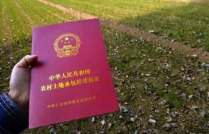 农村土地确权政策是什么（2022年关于土地确权最新规定）