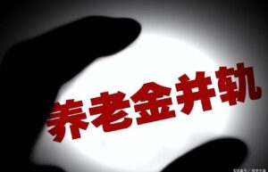 养老保险双轨制问题有哪些（关于养老金双轨制最新解读）