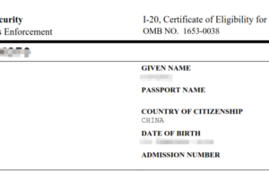 出国签证办理流程（个人办理出国工作签证）