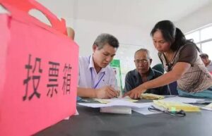 中华人民共和国村民委员会选举法规定（新村民选举法细则）