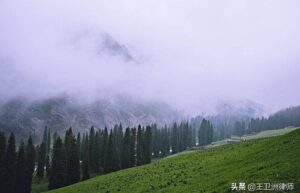 林地征地补偿标准多少钱（宅基地征用补偿新标准）