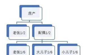 房产赠与怎么收费（关于房产继承最新政策）