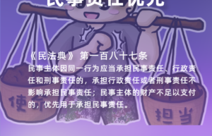 法律优先原则的具体要求（民事优于刑事的原则法律依据）