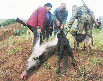 违法行为有哪些类型和处罚（一般违法行为举例讲解）