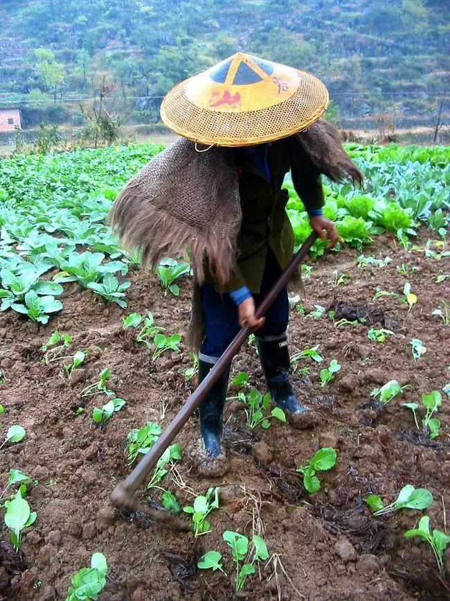 土地确权人死后土地归谁所有（最新土地确权法律法规）