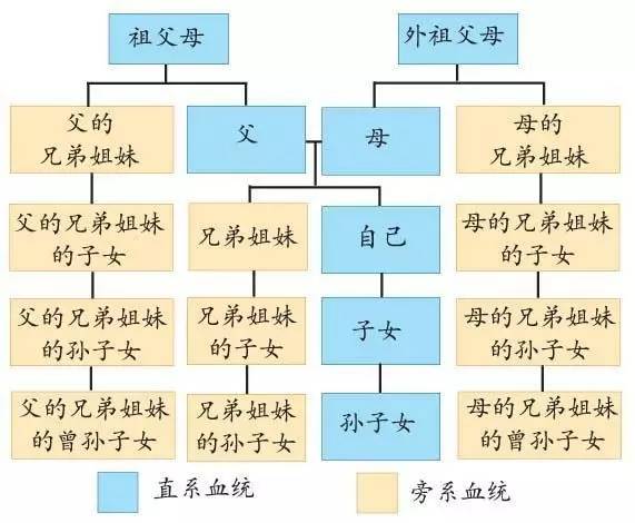 旁系血亲三代怎么计算（旁系血亲三代的判定）