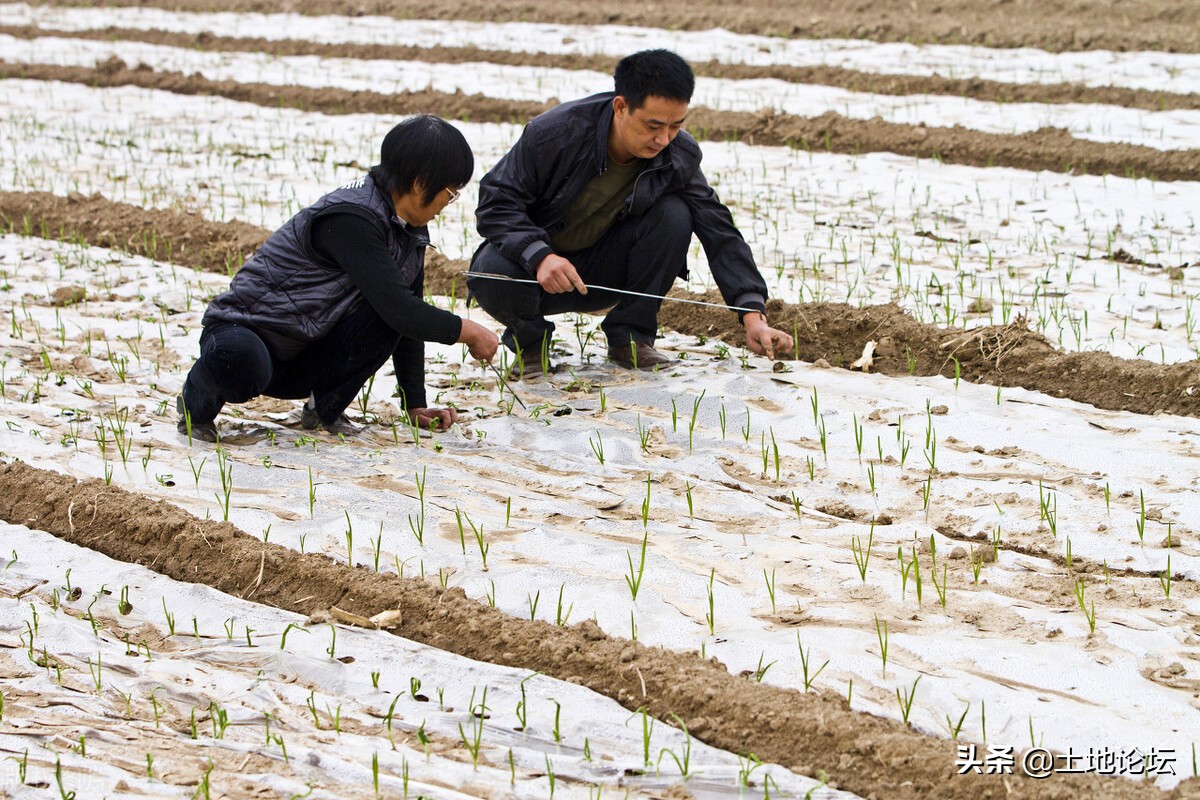 土地流转是什么意思（土地流转补偿相关政策）