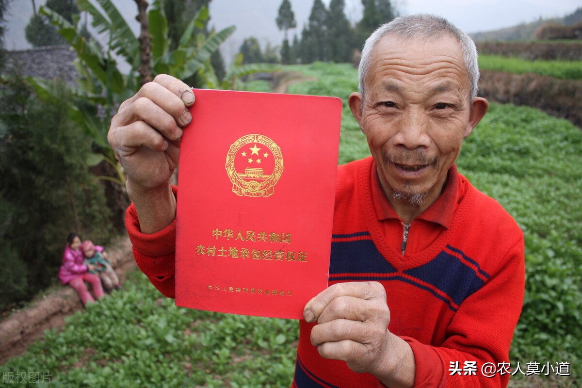 宅基地转让协议书怎么写才合法有效（关于农村宅基地最新政策）