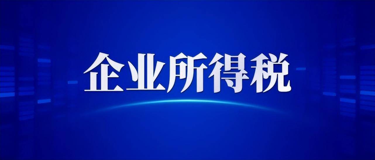 企业所得税年报怎么报（最新企业报税入口）