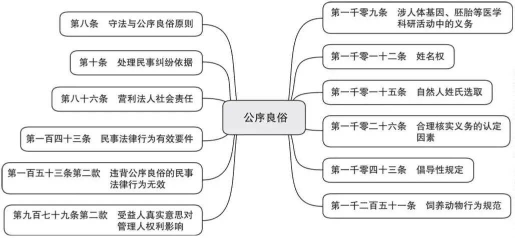 法律的六个基本原则是什么（民法典关于六大原则解读）