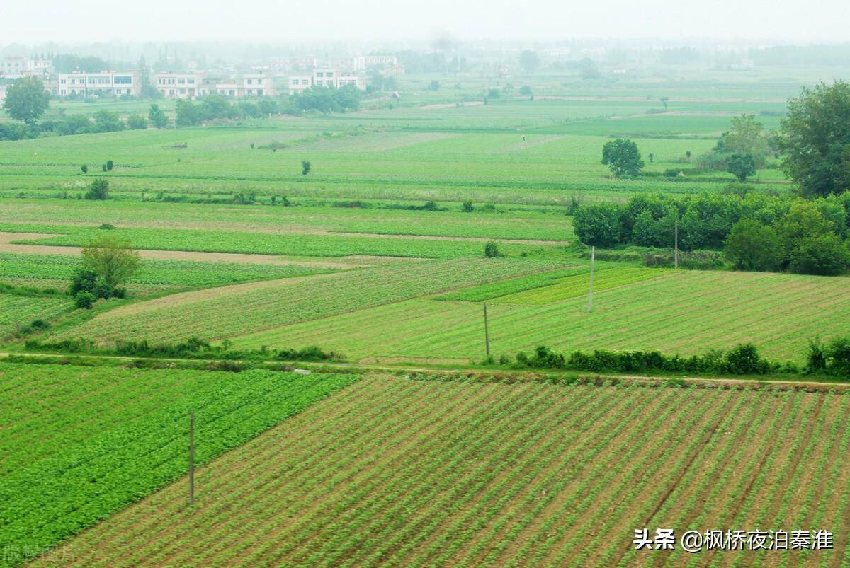 最新农村土地承包合同范本（承包土地协议书模板）