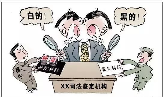 诉讼是什么意思（诉讼和起诉的区别）