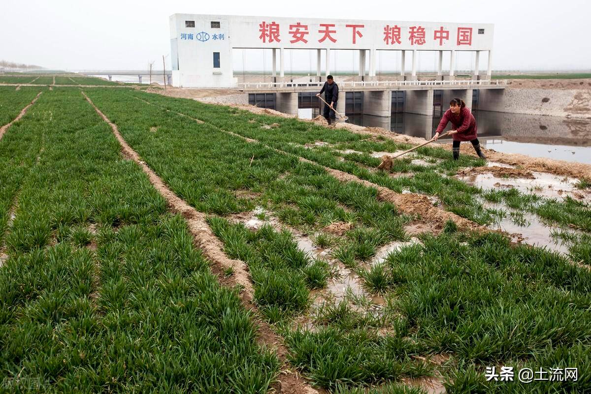 农村个人土地纠纷怎么处理（土地转让纠纷处理方法）