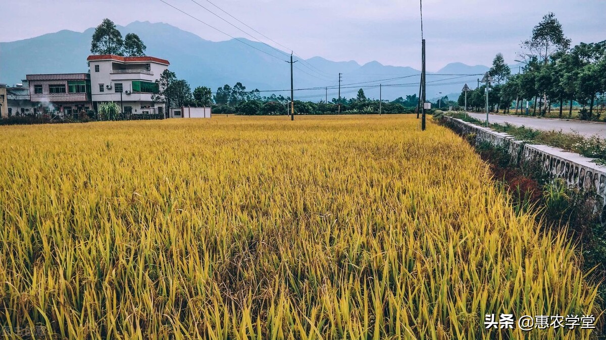 耕地占用税税率是多少（耕地占用税免税范围包括）