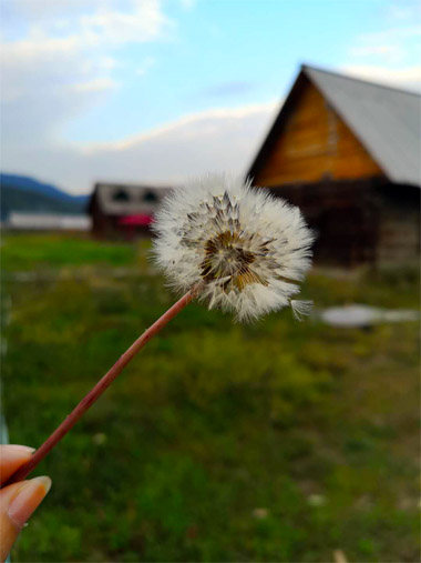 休年假理由怎么写（请年假最好的理由）