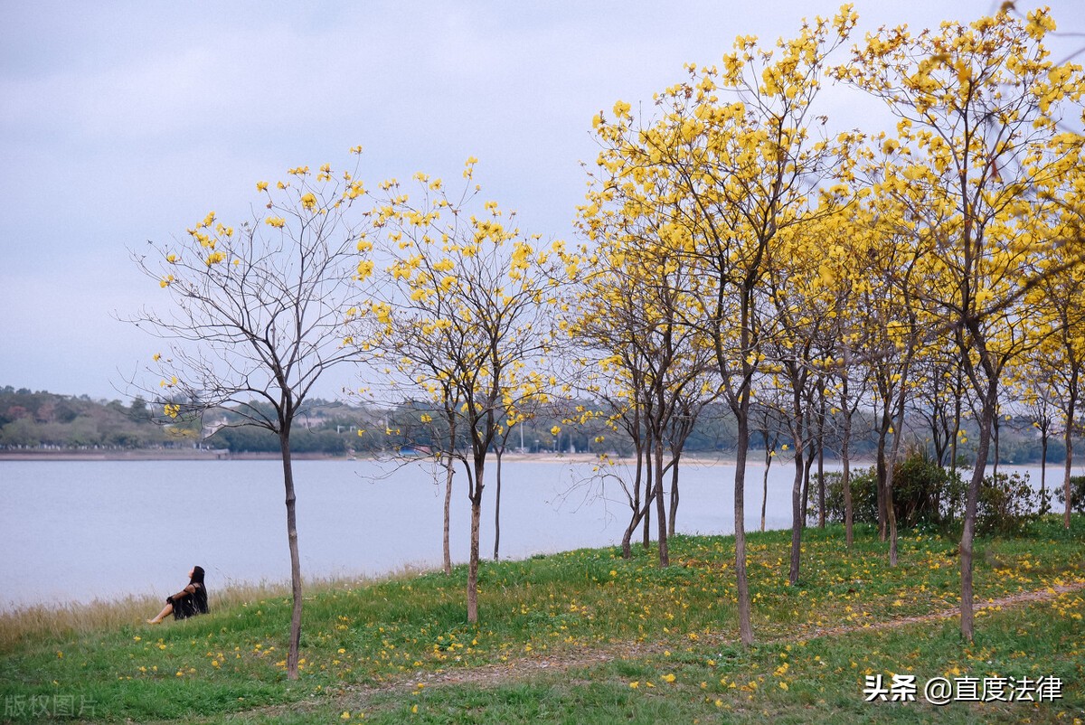 起诉离婚可以委托律师办理吗（离婚起诉流程）