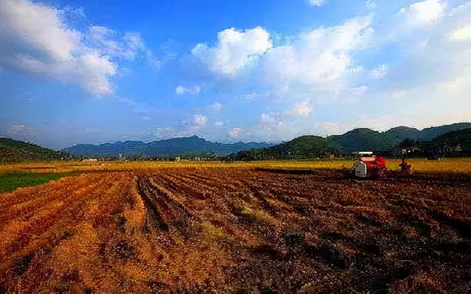 政府征用农村土地补偿标准是多少（土地征收赔偿标准明细）