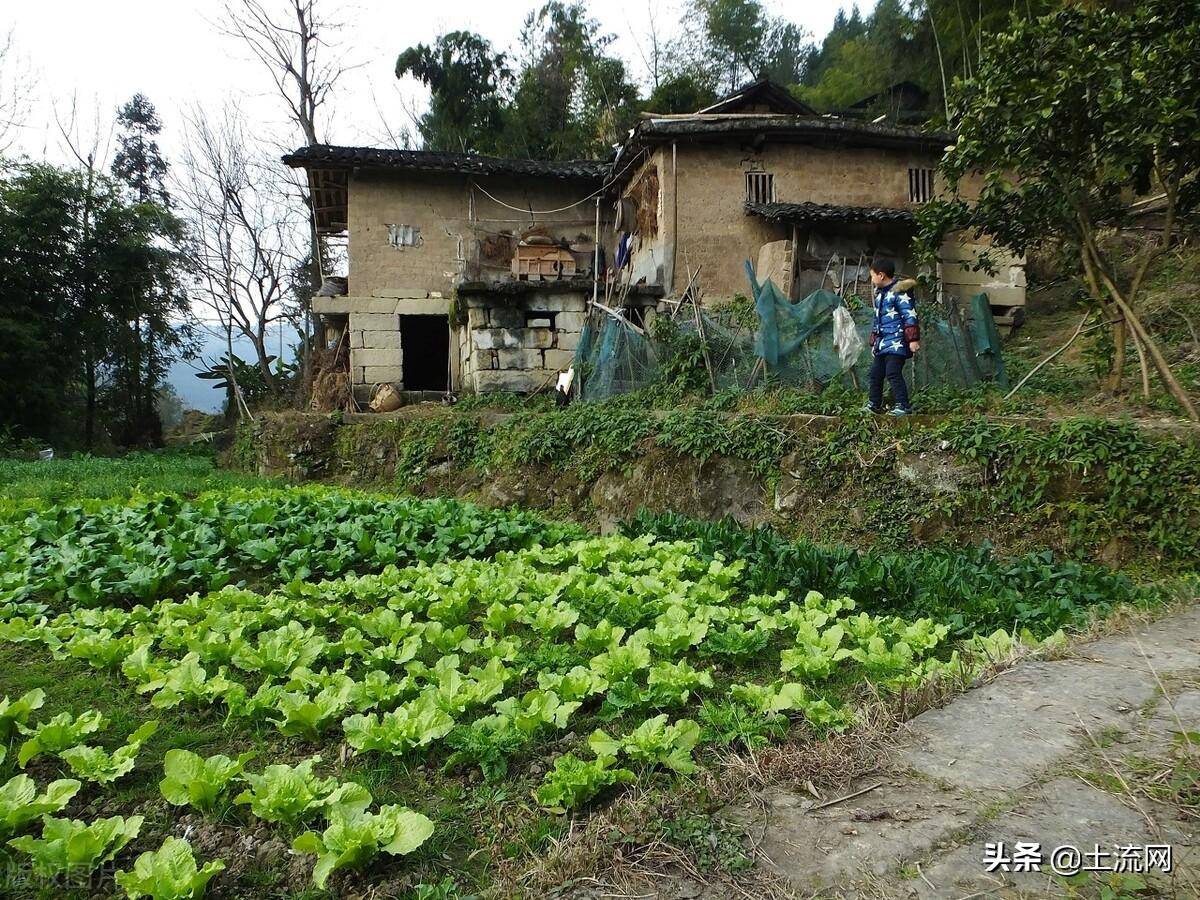 农村土地权属争议处理办法解读（民法典土地纠纷新规）