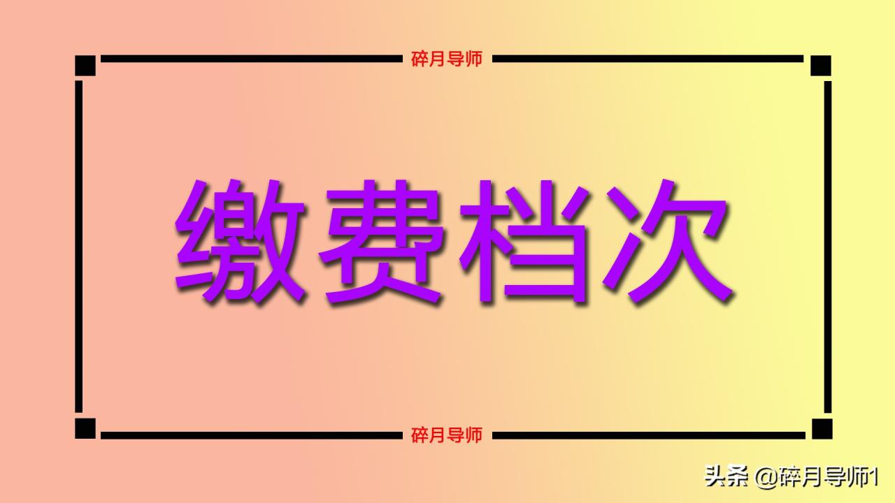 养老保险金一个月多少钱（2022年养老保险档次价格表）