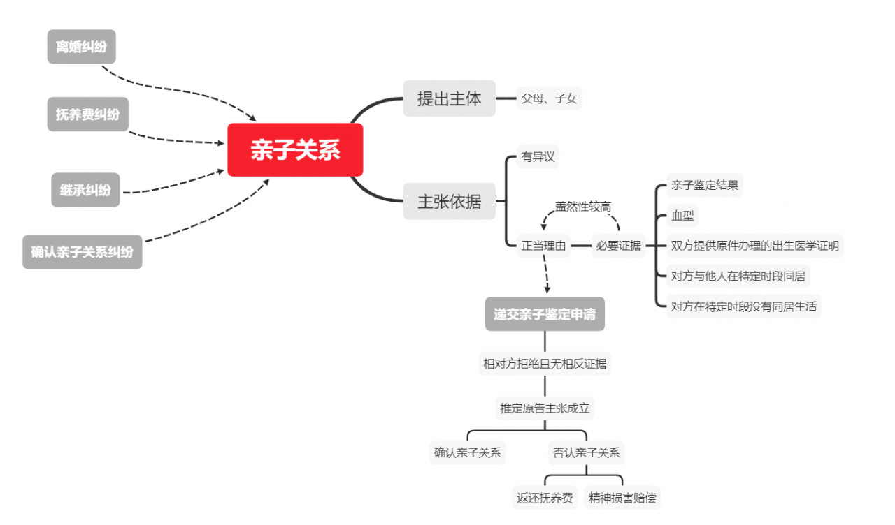 亲子关系证明怎么开（证明亲子关系的有效证明材料）