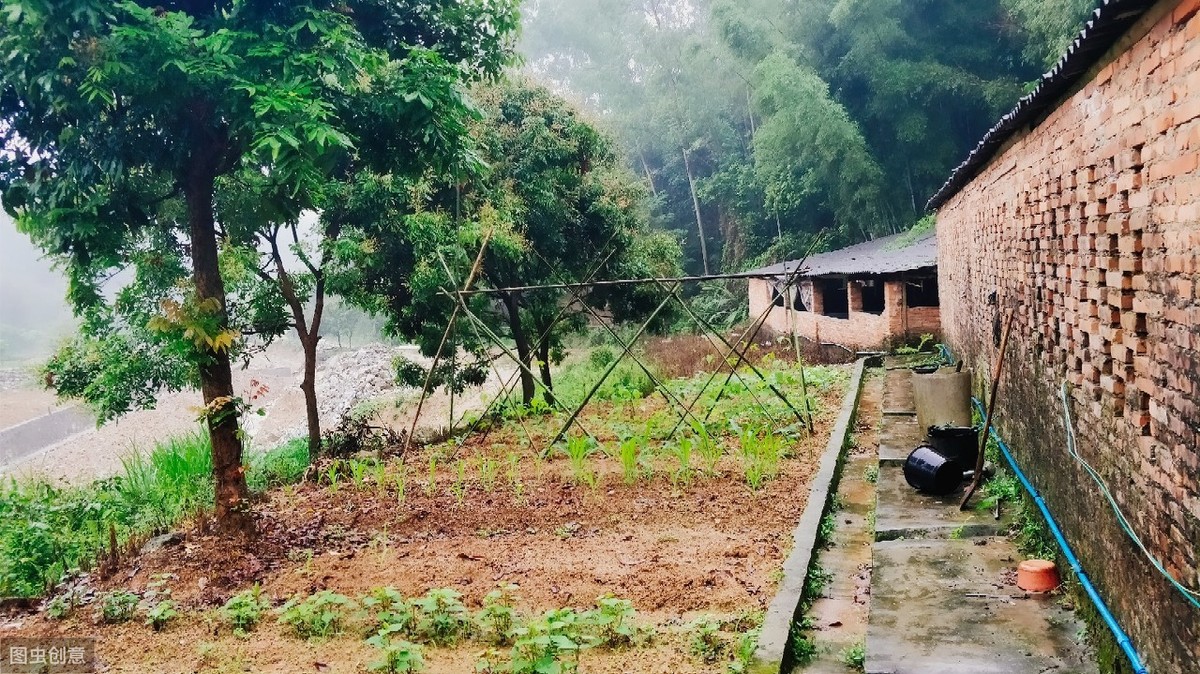 宅基地女儿有继承权吗（农村宅基地继承权新规定）