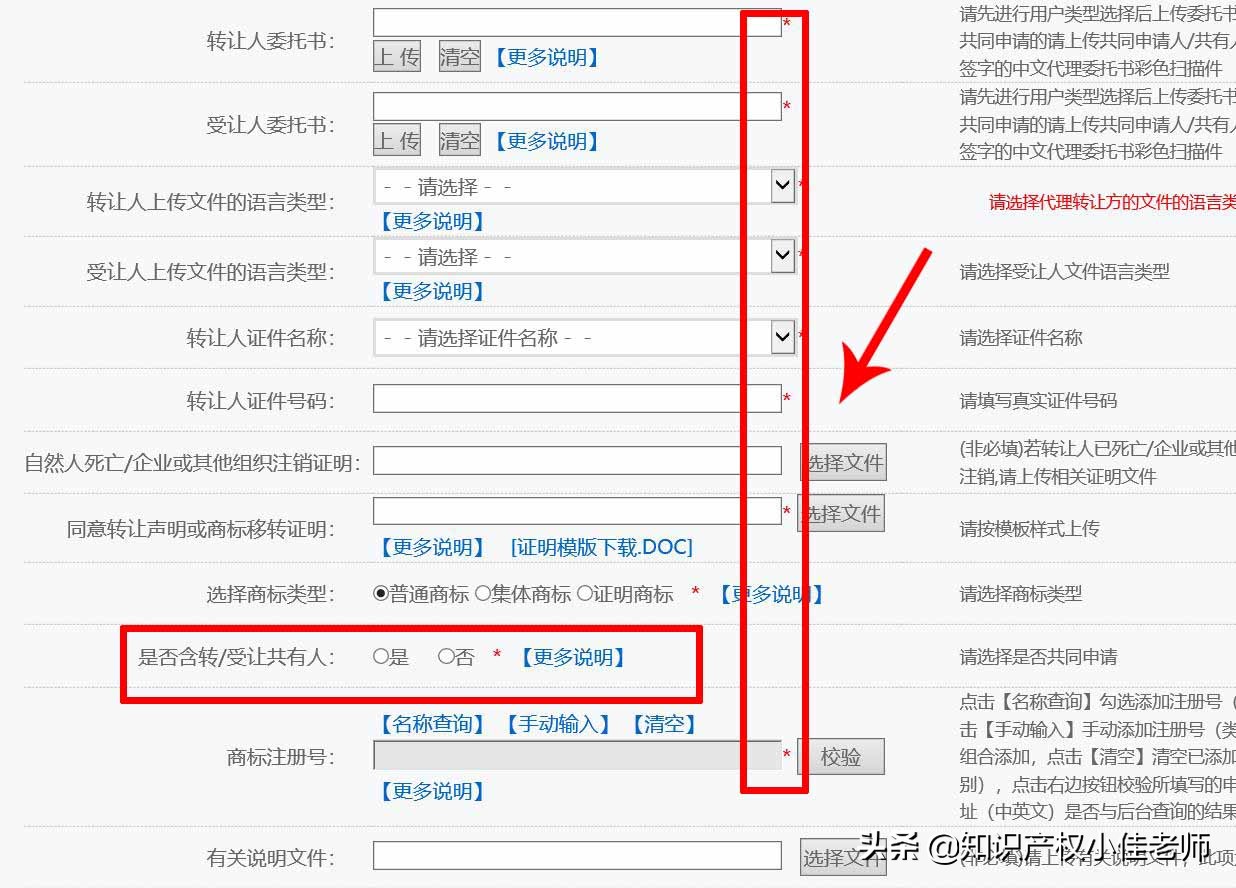 如何申请商标费用多少（个人申请商标的流程和费用）