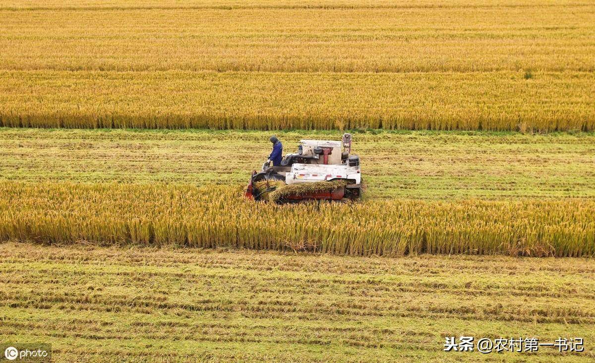 国有土地转让合同模板（正规土地出让合同参考范本）