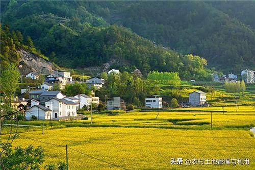 无宅基地的农村户口怎么安置（农村宅基地申请条件）