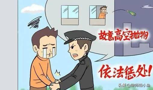 高空抛物没有伤人怎么处罚（小区高空抛物解决方案）