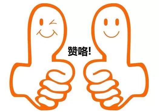 大连市交通违章怎么查询（交警123123官网登录）