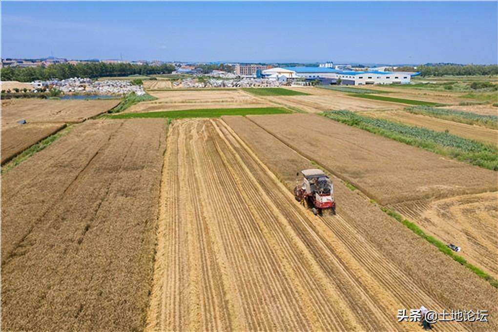 土地租赁多少年合法（农村土地承包租赁的法律规定）