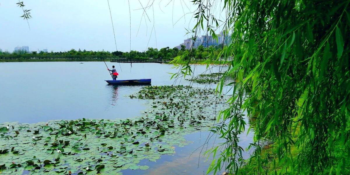 过错责任原则有什么作用和意义（过错责任原则的适用范围）