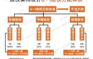 同股不同权合伙协议怎么写（股份合伙人的合作协议范本）