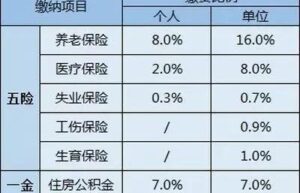 养老金计算公式怎么算（养老金最简单的计算方法公式）