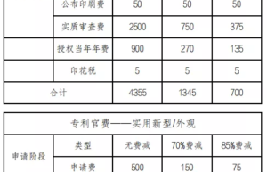 国家专利能拿多少钱（实用新型专利申请费用明细）