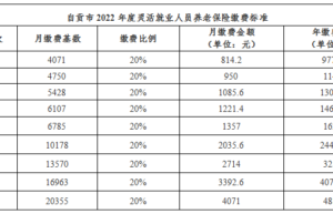 2022年养老保险新政策是什么（最新养老政策出台）