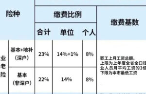 养老保险退休金计算公式怎么算（退休新人养老金计算方法）