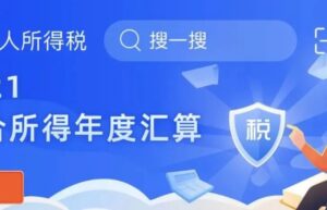 个税申报流程怎么走（个人所得税app申报流程）