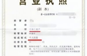 怎么办理个体户营业执照（个体户营业执照办理流程）