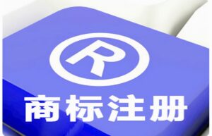 公司如何注册商标流程怎么走（个人注册商标步骤）