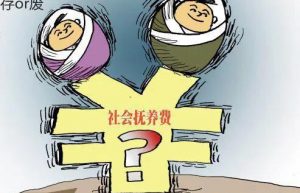 社会抚养费征收标准是什么（2022非婚生子女落户新规）