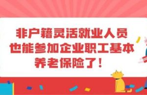 深圳市社保明细怎么查询（深圳社保缴费记录查询系统）