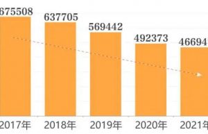 平均初婚年龄怎么算（中国离婚率官方数据）